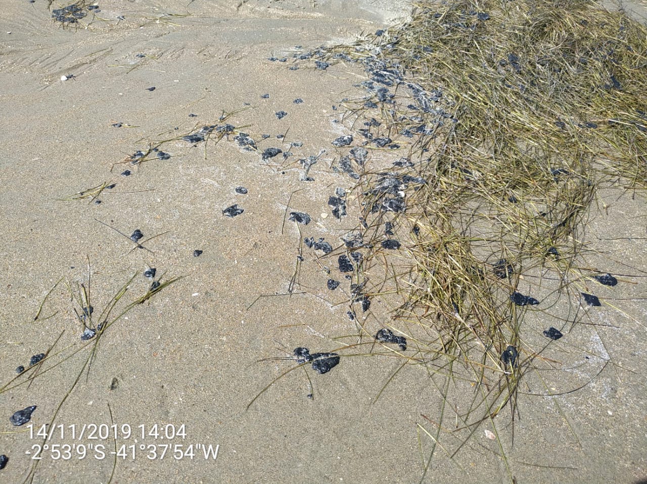 Manchas de óleo encontradas na Praia de Atalaia, localizada no município de Luís Correia, litoral do Piauí